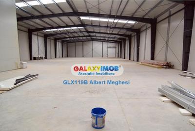 Spatiu Depozitare/Hala Centura-Mogosoaia - 9