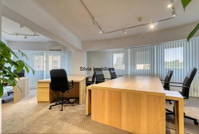 Sediu de birou chiar in Piata Victoriei langa Guvern - 5