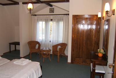 Vila in Breaza -  Ideala pentru Pensiune, Centru Wellness, Clinica, Restaurant - 16