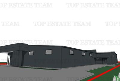 Galerie comerciala Bucuresti-Ilfov 100% inchiriata - 4