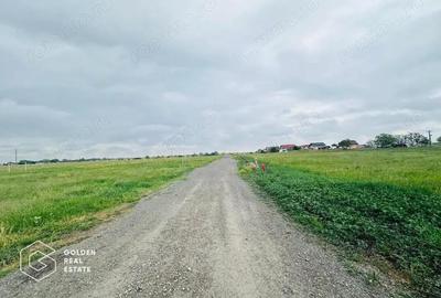 Terenuri cu utilitati, intrare Livada