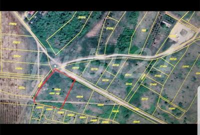 Teren de 600 mp, în Săldăbagiu de Munte - 3