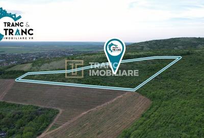 Teren Construcții extravilan de 11500 mp, în Ghioroc - 3