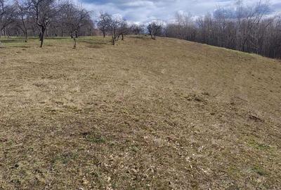 Spațiu comercial, în Borod - 4