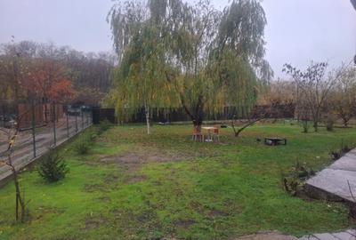 Inchiriez Vila 5 camere in Padurea Snagov, Silistea Snagovului / Pet Friendly - 10