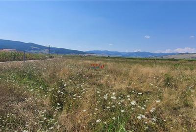 Teren de vanzare in Barabanti, 380 mp, intravilan - 3