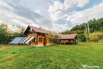 Casă cu 12 camere cu Teren 19841 Mp în Vale - 13