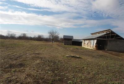 Teren de 7800 mp, în Central - 2