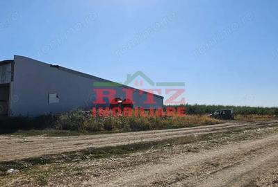 Teren de 56800 mp, în Fărcașele - 7