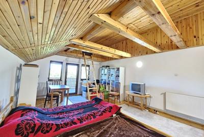Vila superba de vanzare in Vintila Voda, Buzau D+P+1 si anexe - 30