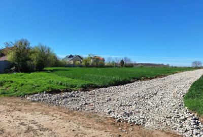 Teren de 460 mp, în Dascălu - 8