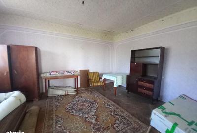 Casă cu Teren 6500 Mp în Mireșu Mare - 7