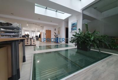 Birou, de 256.60000610352 mp, în Unirii - 5