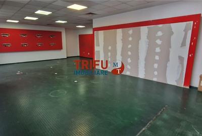 Spațiu comercial, de 125 mp, în Cetate - 8