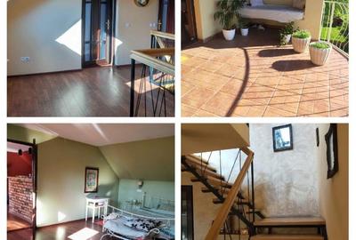 Casă cu 7 camere cu Teren 9800 Mp în Șintereag - 6