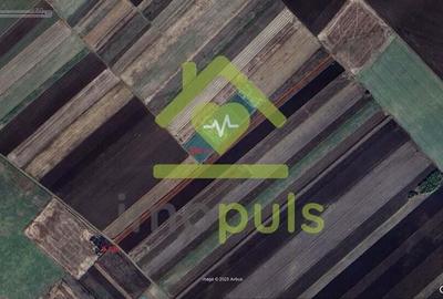 ? Teren extravilan la Pesac de 8.000 mp (1,4 euro/mp)? - 3