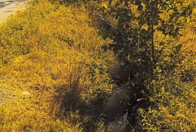 Spațiu comercial, în Sebeș - 3