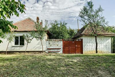 Casă cu 2 camere în Central - 7