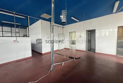 Spațiu comercial, de 435 mp, în Cantemir - 11