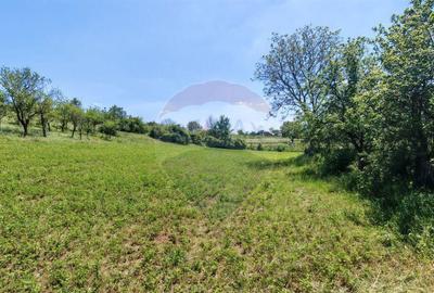 Teren cu constructie de vanzare zona Urlati/ Ceptura - 9