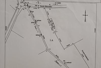 Teren Construcții intravilan de 4371 mp, în Copăcelu - 2