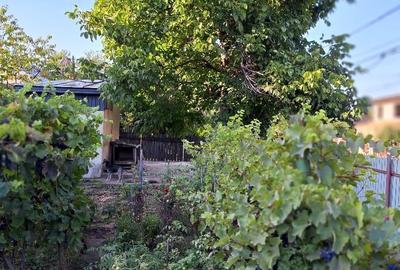 Casă în Central - 5