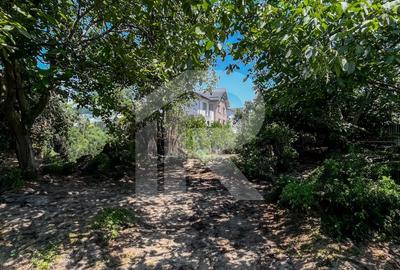 DE VANZARE CASA + TEREN in Dobroestiul (Vechi) - 2