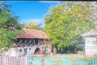 Casă cu 4 camere cu Teren 1800 Mp în Bârsoiu - 6