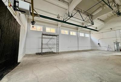 Spațiu industrial, de 150 mp, în Astra - 3