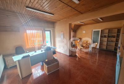 Spatiu comercial de vanzare pe drumul Petrestiului - 8