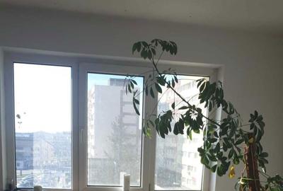 Apartament cu 2 camere decomandat în Preajba Mare - 3