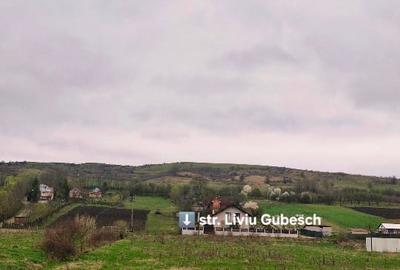 Teren Construcții intravilan de 3350 mp, în Sud - 3