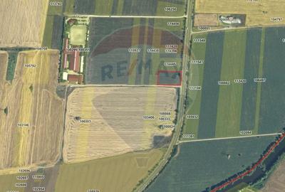 Teren agricol intravilan de 4000 mp, în Snagov - 2