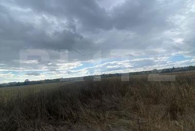 Teren de 2500 mp, în Lucieni - 1