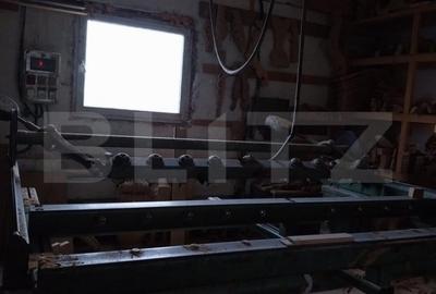 Spațiu comercial, de 1,200 mp, în Botiz - 11