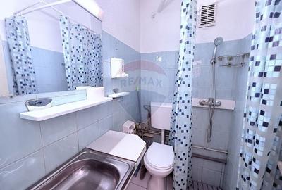Apartament cu 1 camere decomandat, mobilat în Andrei Mureșanu - 4