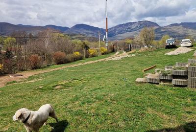 Teren de 1000 mp, în Vălișoara - 7