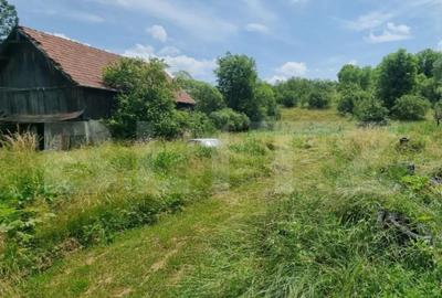 Casă cu 5 camere cu Teren 14660 Mp în Central - 4