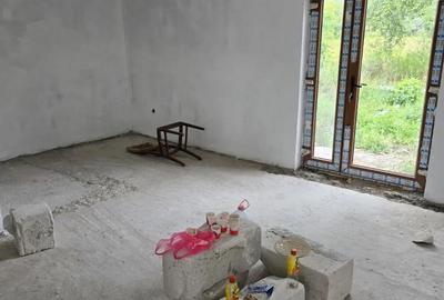 Casă cu 2 camere cu Teren 30000 Mp în Valea Leșului - 6