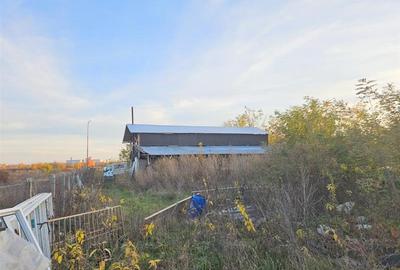 Teren agricol extravilan de 10000 mp, în 9 Mai - 8