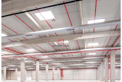 Depozit/hala/spatiu industrial Stefanesti - Centura, Ilfov - 1