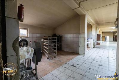 Spațiu comercial, de 700 mp, în Ghelința - 15