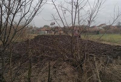 Teren de 1460 mp, în Satchinez - 7