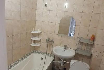 Garsoniera in aproprierea Muzeul Satului Banatean de vanzare - 1