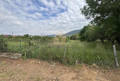 Teren de 3700 mp, în Valea Borcutului - 2