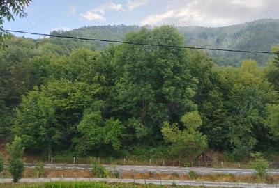 Casă cu Teren 3765 Mp în Mănăstire - 2