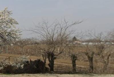 Teren centru Magurele - 3