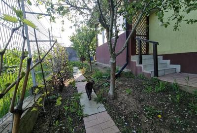 Casă cu 6 camere cu Teren 500 Mp în Central - 2