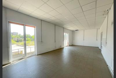 Spatii multiple pentru inchiriat Calea Timisoarei - 6