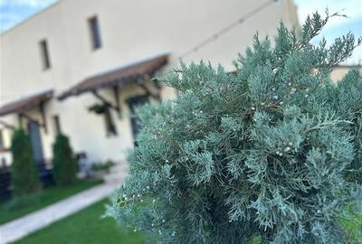 Casa moderna - Green City - 4 camere - 3 bai - 120mp - 120mp curte - 17